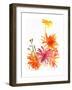 Marigolds and Other Flowers, 2004-Claudia Hutchins-Puechavy-Framed Art Print