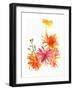 Marigolds and Other Flowers, 2004-Claudia Hutchins-Puechavy-Framed Art Print