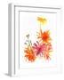 Marigolds and Other Flowers, 2004-Claudia Hutchins-Puechavy-Framed Art Print