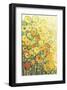 Marigolds for Carson-Jennifer Lommers-Framed Giclee Print