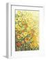 Marigolds for Carson-Jennifer Lommers-Framed Giclee Print