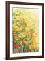Marigolds for Carson-Jennifer Lommers-Framed Giclee Print