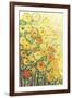 Marigolds for Carson-Jennifer Lommers-Framed Giclee Print
