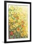 Marigolds for Carson-Jennifer Lommers-Framed Giclee Print