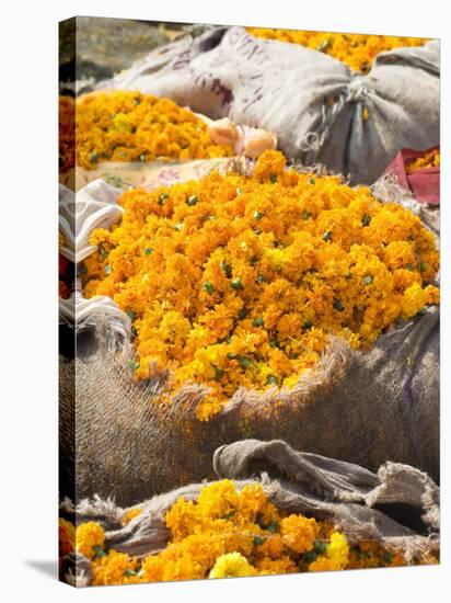 Marigolds Tied Up in Sacking Ready for Sale, Flower Market, Bari Chaupar, Jaipur, Rajasthan-Annie Owen-Stretched Canvas