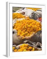 Marigolds Tied Up in Sacking Ready for Sale, Flower Market, Bari Chaupar, Jaipur, Rajasthan-Annie Owen-Framed Photographic Print