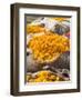 Marigolds Tied Up in Sacking Ready for Sale, Flower Market, Bari Chaupar, Jaipur, Rajasthan-Annie Owen-Framed Photographic Print