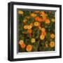 Marigolds-Moser Koloman-Framed Art Print