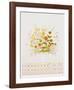 Marigolds-Mary Faulconer-Framed Limited Edition