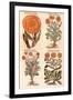 Marigolds.-John Gerard-Framed Giclee Print