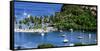 Marigot Bay, St. Lucia, Caribbean. marina, boats, palm trees, cove-Jolly Sienda-Framed Stretched Canvas