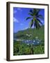 Marigot Bay, St. Lucia, Windward Islands, Caribbean, West Indies, Central America-John Miller-Framed Photographic Print