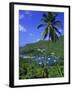 Marigot Bay, St. Lucia, Windward Islands, Caribbean, West Indies, Central America-John Miller-Framed Photographic Print