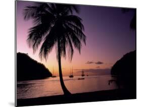 Marigot Bay, St. Lucia-null-Mounted Photographic Print
