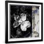 Gramercy Black