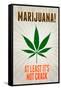 Marijuana At Least It's Not Crack College-null-Framed Stretched Canvas