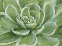 Green Succulent-Marilyn Dunlap-Art Print