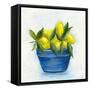 Canvas Black