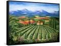 Canvas Black