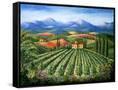 Canvas Black