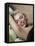 Marilyn Monroe 1952 L.A. California Usa-null-Framed Stretched Canvas