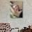 Marilyn Monroe 1952 L.A. California Usa-null-Photo displayed on a wall