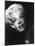 Marilyn Monroe, 1954-null-Mounted Photo