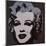Marilyn Monroe, 1967 (black)-Andy Warhol-Mounted Art Print