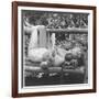 Marilyn Monroe in California-Ed Clark-Framed Photographic Print