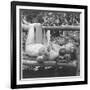 Marilyn Monroe in California-Ed Clark-Framed Photographic Print