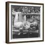 Marilyn Monroe in California-Ed Clark-Framed Photographic Print