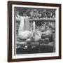 Marilyn Monroe in California-Ed Clark-Framed Photographic Print