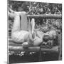 Marilyn Monroe in California-Ed Clark-Mounted Photographic Print