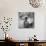 Marilyn Monroe in California-Ed Clark-Mounted Photographic Print displayed on a wall