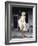 Marilyn Monroe in 'The Seven Year Itch', 1955-null-Framed Photo