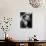 Marilyn Monroe, Love Happy, 1949-null-Photographic Print displayed on a wall