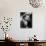 Marilyn Monroe, Love Happy, 1949-null-Mounted Photographic Print displayed on a wall