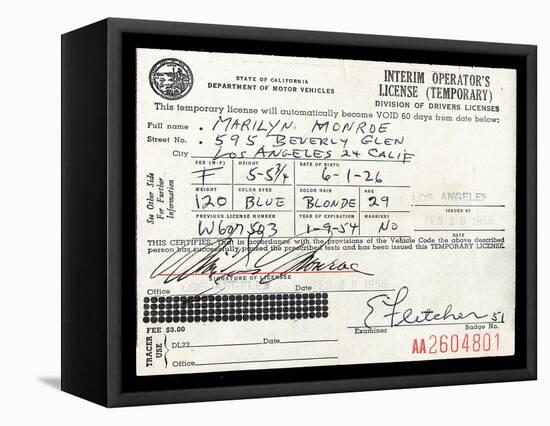 Marilyn Monroe's Driver's License, 1956-null-Framed Stretched Canvas