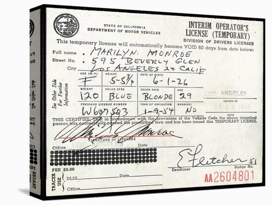 Marilyn Monroe's Driver's License, 1956-null-Stretched Canvas