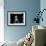 Marilyn Monroe VII-British Pathe-Framed Giclee Print displayed on a wall