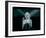 Marilyn Monroe VIII-British Pathe-Framed Art Print