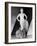 Marilyn Monroe-null-Framed Photographic Print