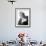 Marilyn Monroe-null-Framed Photographic Print displayed on a wall