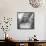 Marilyn Monroe-Ed Clark-Framed Stretched Canvas displayed on a wall