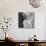 Marilyn Monroe-Ed Clark-Stretched Canvas displayed on a wall