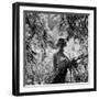 Marilyn Monroe-Ed Clark-Framed Premium Photographic Print