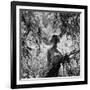 Marilyn Monroe-Ed Clark-Framed Photographic Print