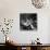 Marilyn Monroe-Ed Clark-Stretched Canvas displayed on a wall