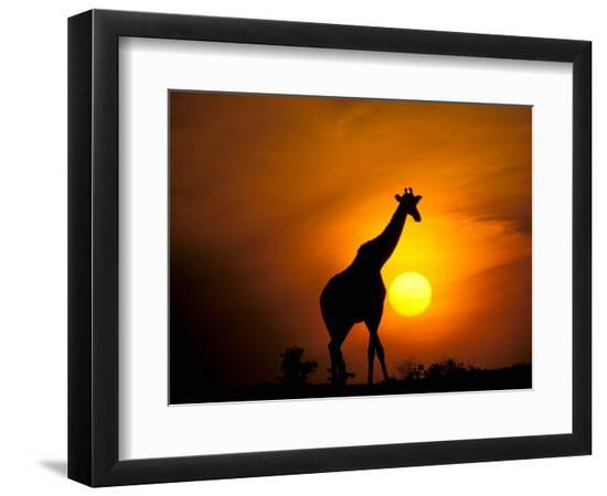 Premium Photographic Print, , large