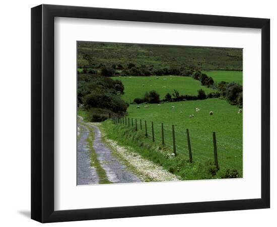 Photographic Print, , large